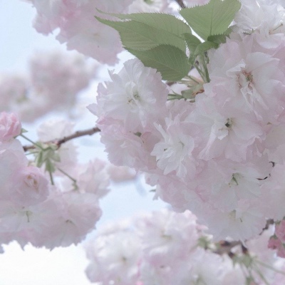 Furry插画风格探索FurryQQ群